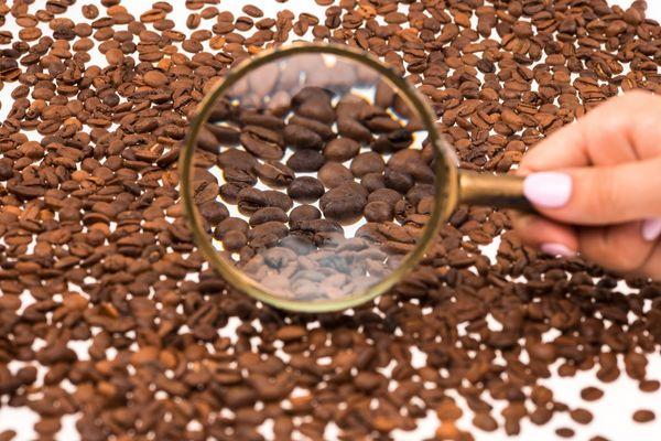 What is Lorem Ipsum